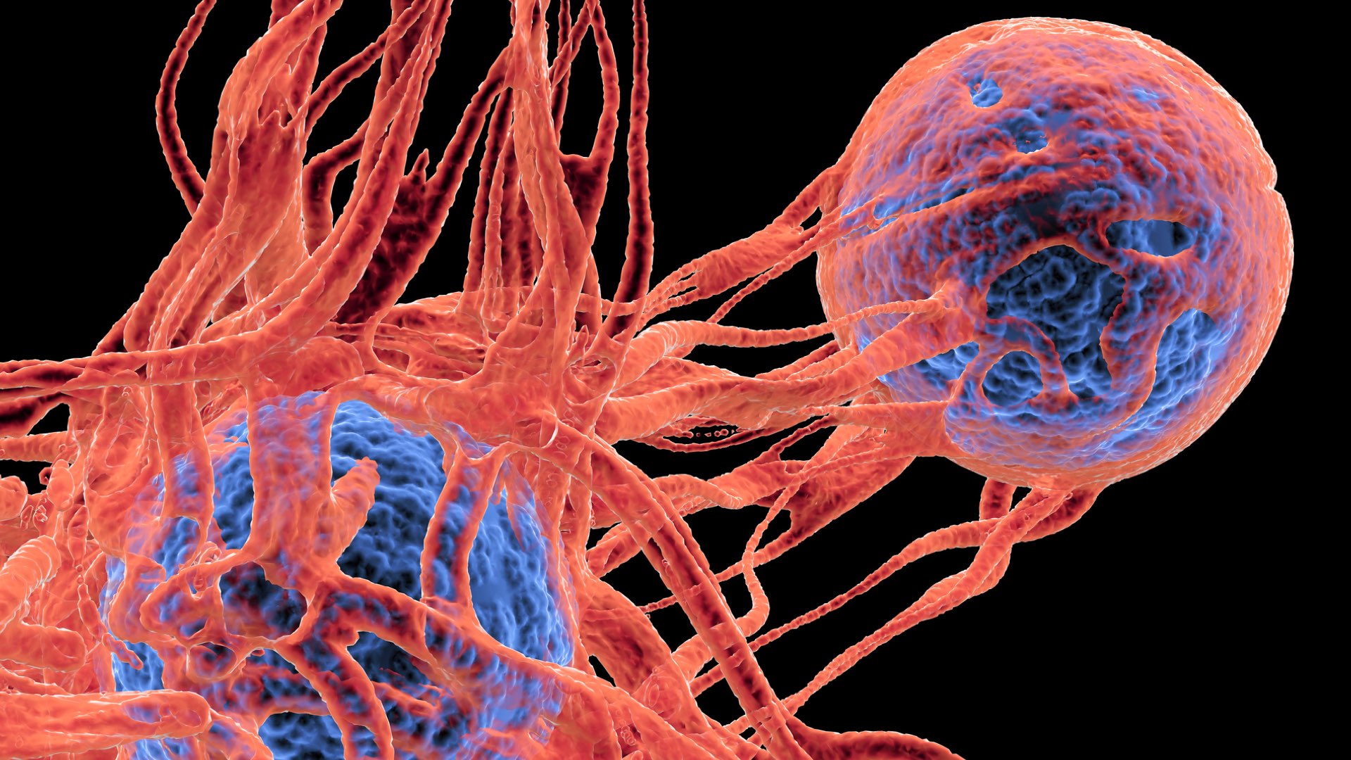 Vibrant close-up of cancer cells.