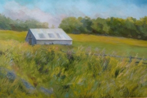 natures-gifts Nature's Gifts by Susan Stefanski