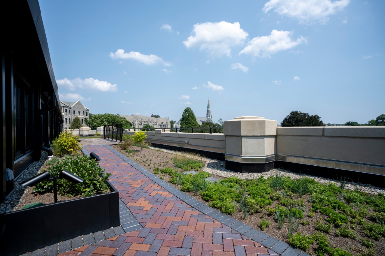 Green Roof 2025 Green Roof 2025