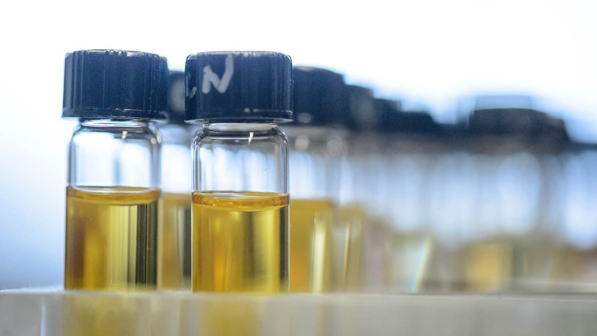 BioChemistry Program sealed vials with yellow liquid
