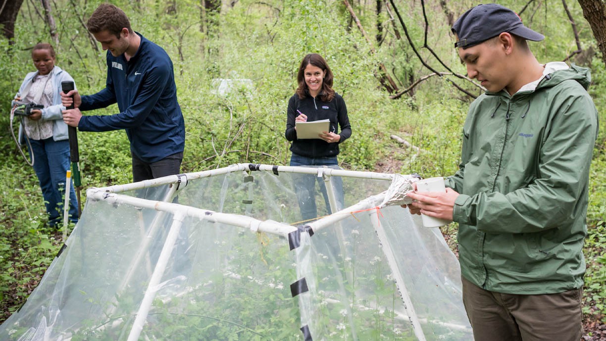 Department of Biology Students and faculty in the woods gathering data.