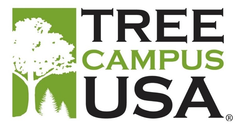 tree-campus Tree Campus USA logo, a white silhouette of a deciduous tree and two coniferous trees on a green background, next to large black and green text that reads 'Tree Campus USA'