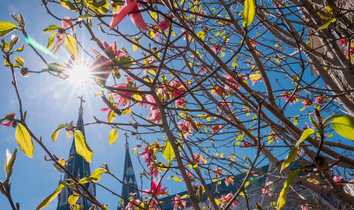 Villanova Church in Background Villanova Church in Background